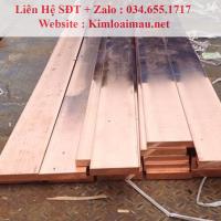 Đồng thanh cái 10x130mm